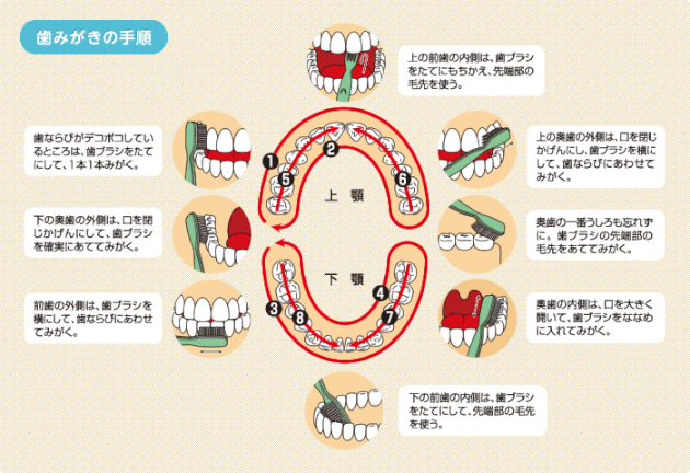 正しい歯磨きの方法と手順ーノーブルデンタルクリニック仙台 仙台駅東口 日曜診療 夜間診療