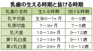 歯 の 抜ける 順番