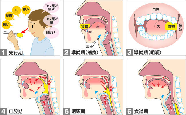 子供に錠剤を飲み込むように教える方法