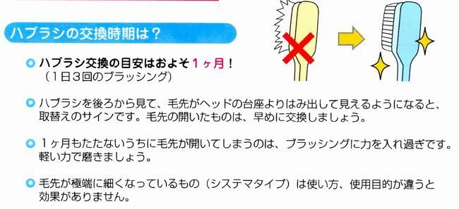 歯ブラシの交換時期についてーノーブルデンタルクリニック仙台 仙台駅東口 日曜診療 夜間診療